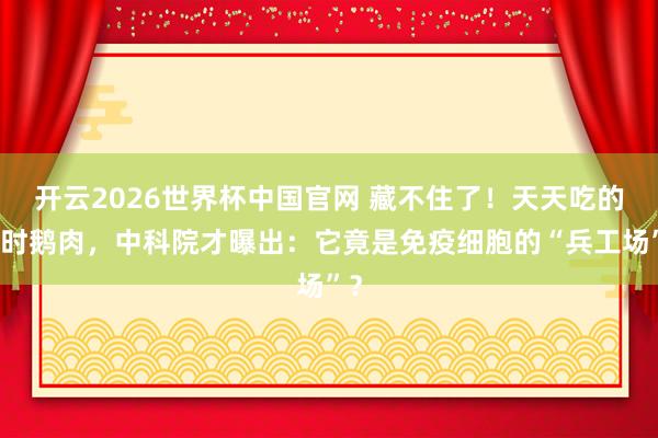 开云2026世界杯中国官网 藏不住了！天天吃的平时鹅肉，中科院才曝出：它竟是免疫细胞的“兵工场”？