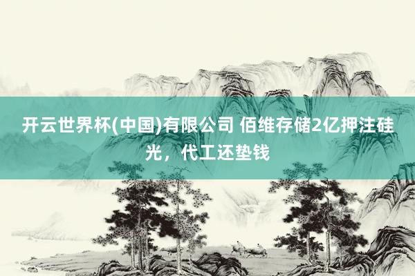 开云世界杯(中国)有限公司 佰维存储2亿押注硅光，代工还垫钱