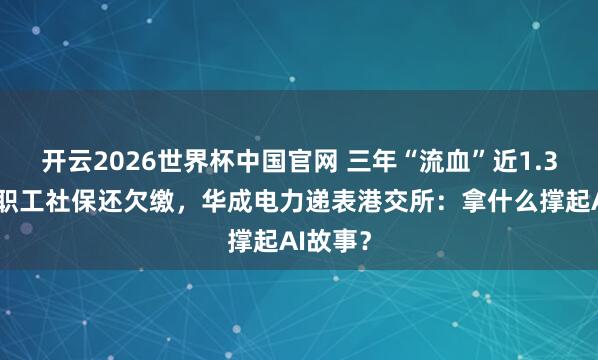 开云2026世界杯中国官网 三年“流血”近1.3亿元、职工社保还欠缴，华成电力递表港交所：拿什么撑起AI故事？