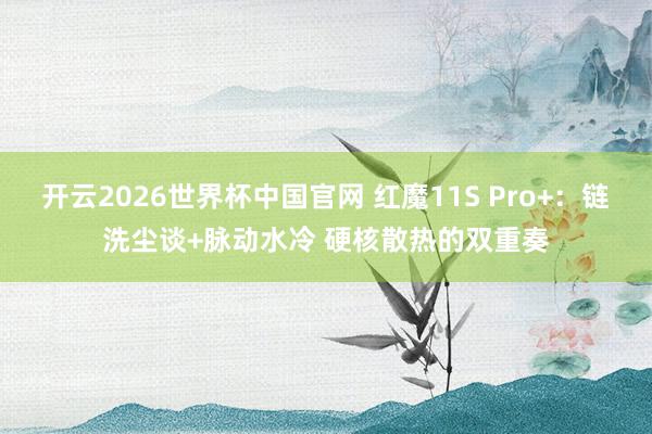 开云2026世界杯中国官网 红魔11S Pro+：链洗尘谈+脉动水冷 硬核散热的双重奏
