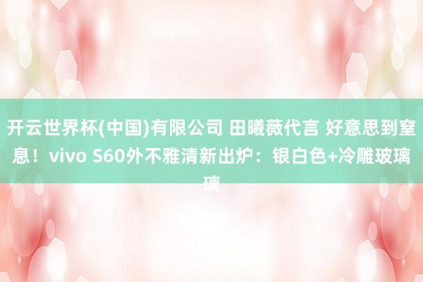 开云世界杯(中国)有限公司 田曦薇代言 好意思到窒息！vivo S60外不雅清新出炉：银白色+冷雕玻璃