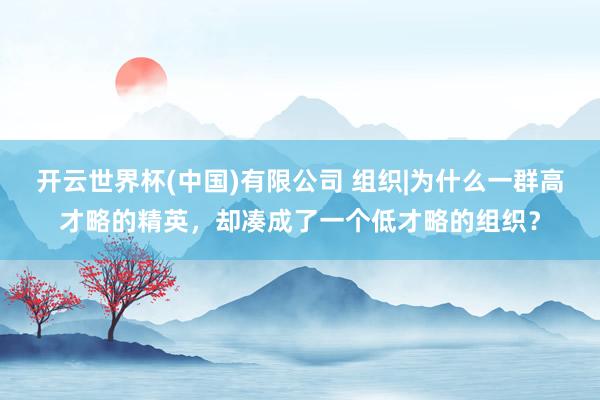 开云世界杯(中国)有限公司 组织|为什么一群高才略的精英，却凑成了一个低才略的组织？