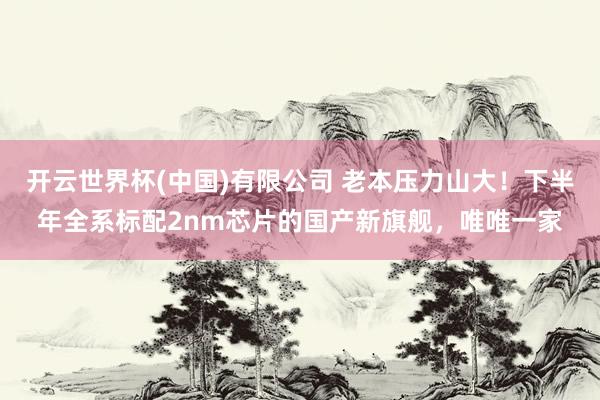 开云世界杯(中国)有限公司 老本压力山大！下半年全系标配2nm芯片的国产新旗舰，唯唯一家