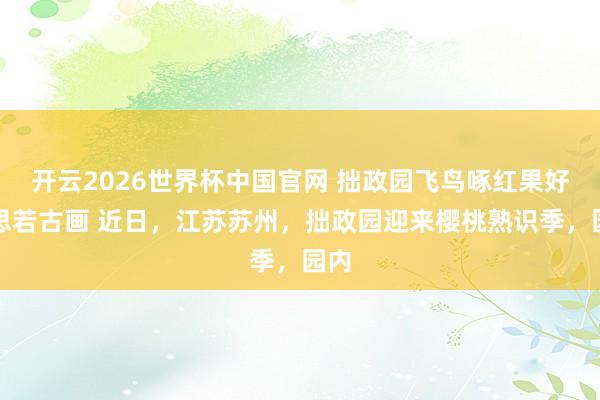 开云2026世界杯中国官网 拙政园飞鸟啄红果好意思若古画 近日，江苏苏州，拙政园迎来樱桃熟识季，园内