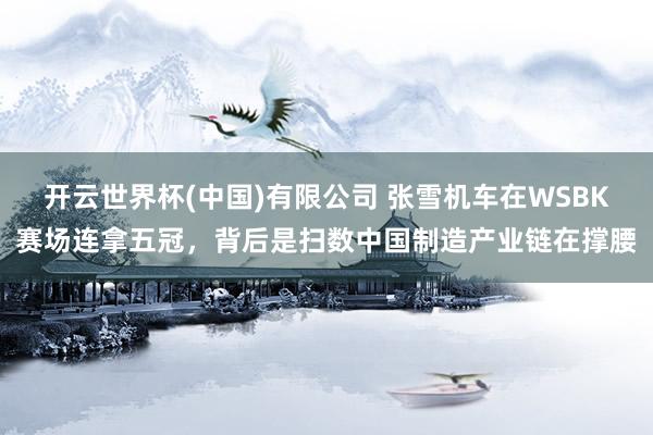 开云世界杯(中国)有限公司 张雪机车在WSBK赛场连拿五冠，背后是扫数中国制造产业链在撑腰