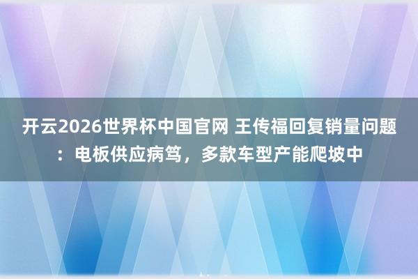 开云2026世界杯中国官网 王传福回复销量问题：电板供应病笃，多款车型产能爬坡中