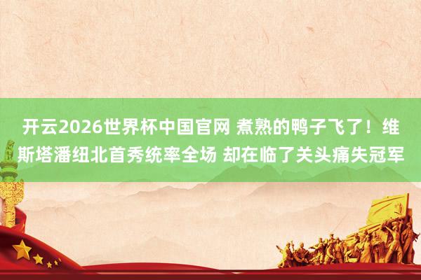 开云2026世界杯中国官网 煮熟的鸭子飞了！维斯塔潘纽北首秀统率全场 却在临了关头痛失冠军