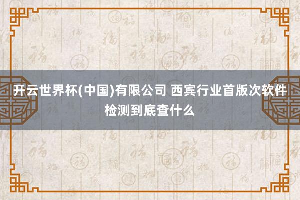 开云世界杯(中国)有限公司 西宾行业首版次软件检测到底查什么