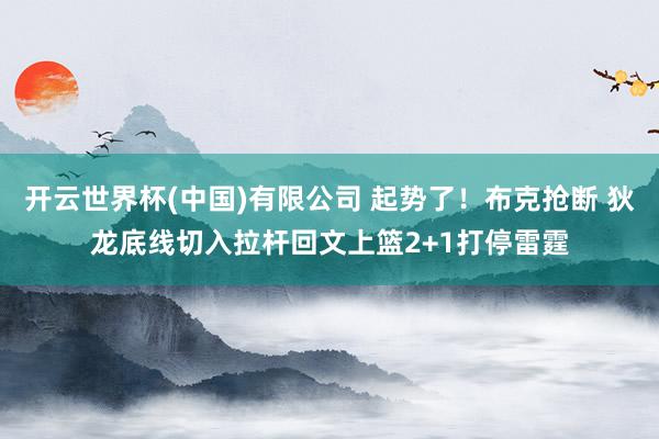 开云世界杯(中国)有限公司 起势了！布克抢断 狄龙底线切入拉杆回文上篮2+1打停雷霆