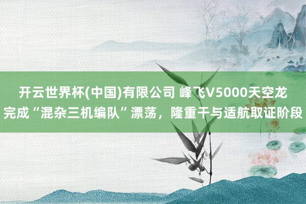 开云世界杯(中国)有限公司 峰飞V5000天空龙完成“混杂三机编队”漂荡，隆重干与适航取证阶段