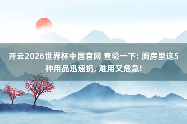 开云2026世界杯中国官网 查验一下: 厨房里这5种用品迅速扔， 难用又危急!