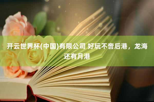 开云世界杯(中国)有限公司 好玩不啻后港，龙海还有月港