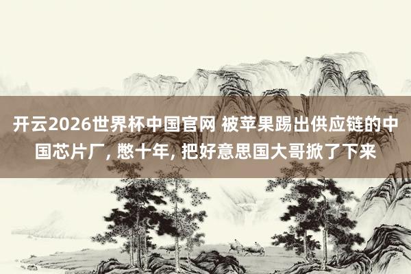 开云2026世界杯中国官网 被苹果踢出供应链的中国芯片厂， 憋十年， 把好意思国大哥掀了下来