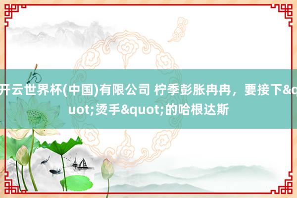 开云世界杯(中国)有限公司 柠季彭胀冉冉,要接下"烫手"的哈根达斯