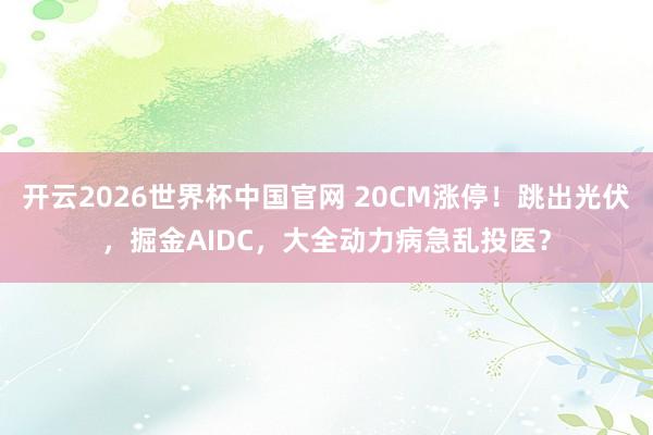 开云2026世界杯中国官网 20CM涨停！跳出光伏，掘金AIDC，大全动力病急乱投医？