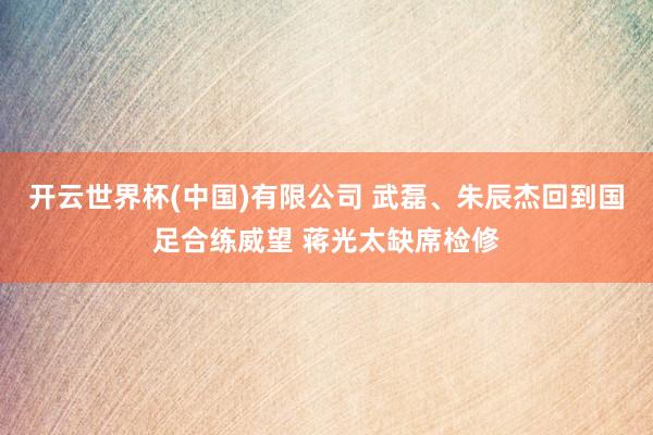 开云世界杯(中国)有限公司 武磊、朱辰杰回到国足合练威望 蒋光太缺席检修