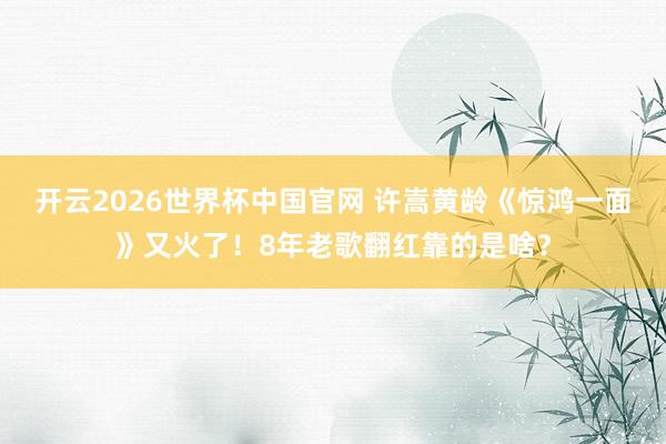 开云2026世界杯中国官网 许嵩黄龄《惊鸿一面》又火了！8年老歌翻红靠的是啥？