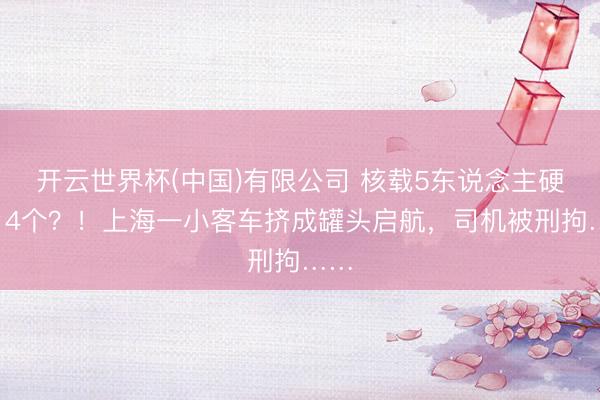 开云世界杯(中国)有限公司 核载5东说念主硬塞14个？！上海一小客车挤成罐头启航，司机被刑拘……