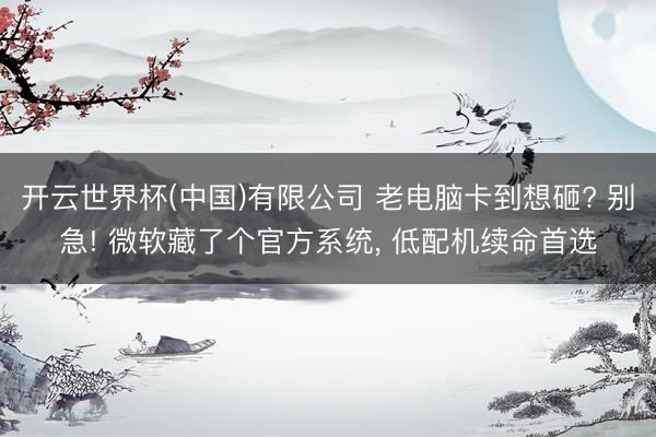 开云世界杯(中国)有限公司 老电脑卡到想砸? 别急! 微软藏了个官方系统， 低配机续命首选