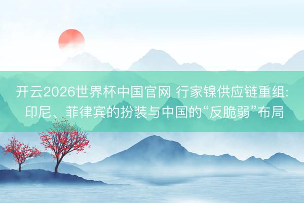 开云2026世界杯中国官网 行家镍供应链重组: 印尼、菲律宾的扮装与中国的“反脆弱”布局
