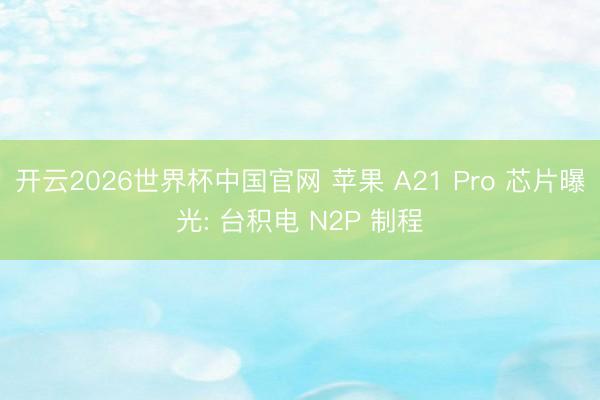 开云2026世界杯中国官网 苹果 A21 Pro 芯片曝光: 台积电 N2P 制程